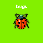 bugs